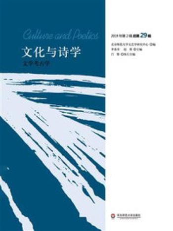 《文化与诗学：文学考古学》-李春青