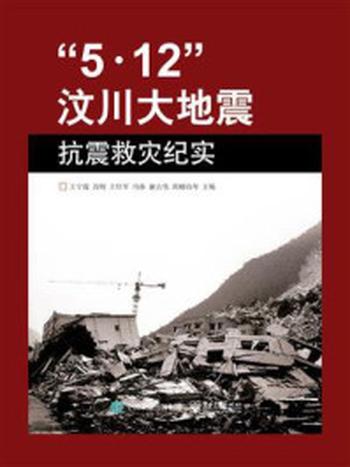 《“5.12”汶川大地震抗震救灾纪实》-王宁霞