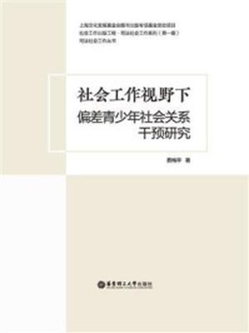 《社会工作视野下偏差青少年社会关系干预研究》-费梅苹