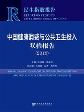 《中国健康消费与公共卫生投入双检报告（2019）(民生指数报告)》-王亚南