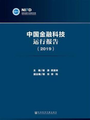 《中国金融科技运行报告（2019）》-杨涛