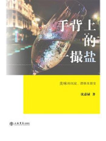 《手背上的一撮盐：美味的沉淀、漂移及裂变》-沈嘉禄