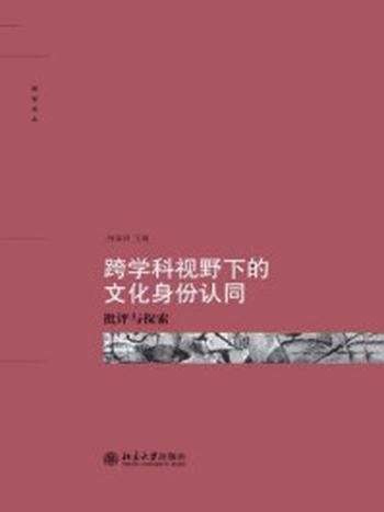 《跨学科视野下的文化身份认同——批评与探索》-何成洲